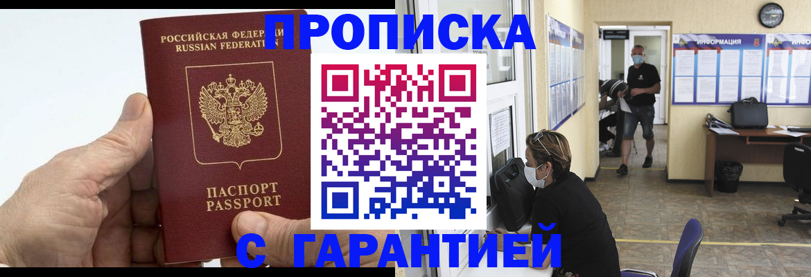 прописка поиск в Курске